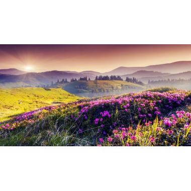 Фотообои Природа 57 CityDecor