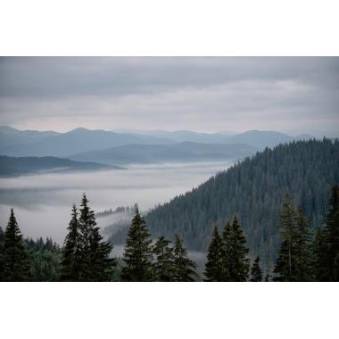 Фотообои Природа 74 CityDecor