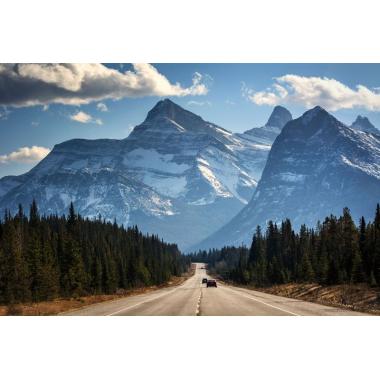 Фотообои Природа 77 CityDecor
