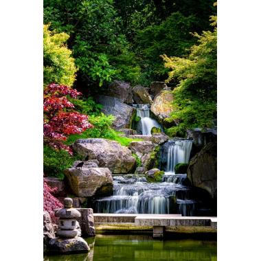 Фотообои Природа 86 CityDecor