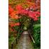Фотообои Природа 88 CityDecor
