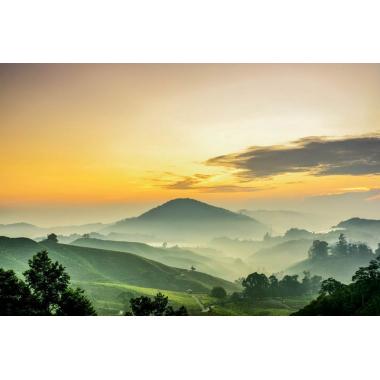Фотообои Природа 9 CityDecor
