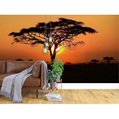 Фотообои Природа 94 CityDecor
