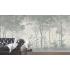 Фотообои Таинственный лес 1 от CityDecor