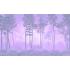 Фотообои Таинственный лес 13 от CityDecor
