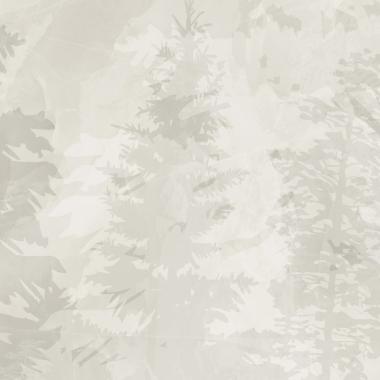 Фотообои Таинственный лес 21 от CityDecor