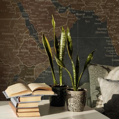 Фотообои WORLD MAP от Factura