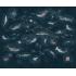 Фотообои MARINE LIFE от Factura
