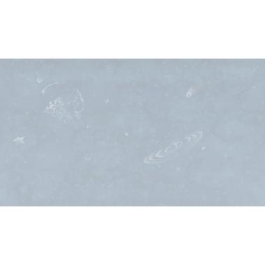 Фотообои MILKY WAY  от Factura