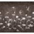 Фотообои HANAMI от Factura