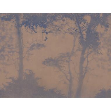 Фотообои SIESTA  от Factura