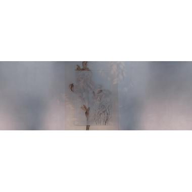 Фотообои EVIGILATIO от Factura