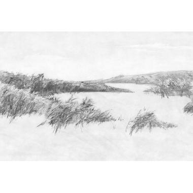 Фотообои REEDS от Factura