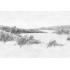 Фотообои REEDS от Factura