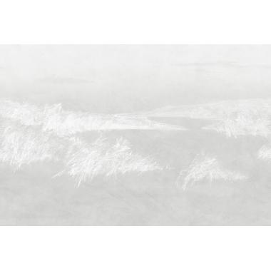 Фотообои REEDS от Factura