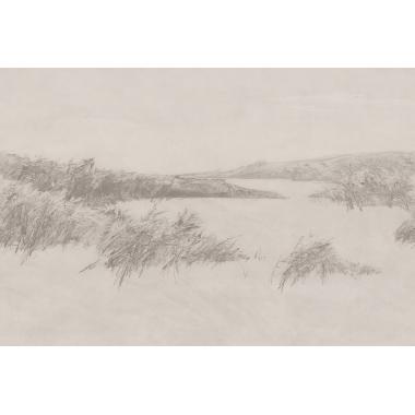 Фотообои REEDS от Factura