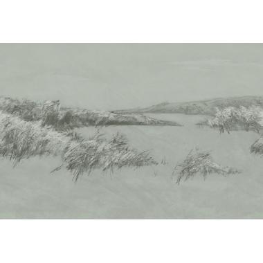 Фотообои REEDS от Factura