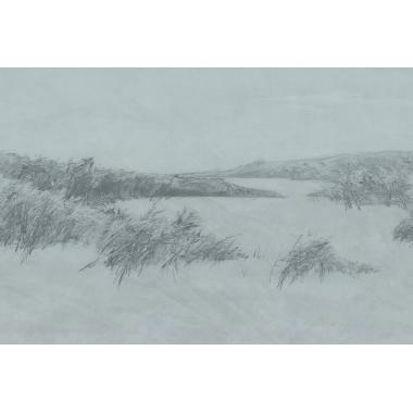 Фотообои REEDS от Factura