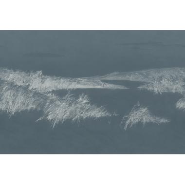 Фотообои REEDS от Factura