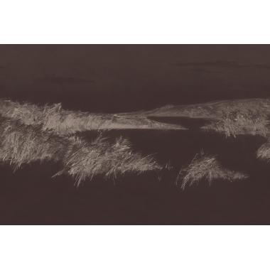 Фотообои REEDS от Factura