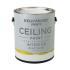 CEILING PAINT - Белоснежная ультраматовая краска для потолков