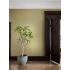 Обои MIX METALLIC SECOND EDITION  True Gold  арт 4884