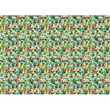 Обои Marburg Gloockler Pompoos Provence 35633
