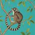 Обои Обои The Glasshouse Sanderson - Ring-tailed Lemur арт 216663