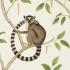 Обои Обои The Glasshouse Sanderson - Ring-tailed Lemur арт 216664