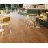 Клеевой виниловый пол BerryAlloc ZENN 30 GD Planks 60002223 Cairo