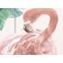 Фотообои/фрески 6-102. Цвет фламинго от Vinni